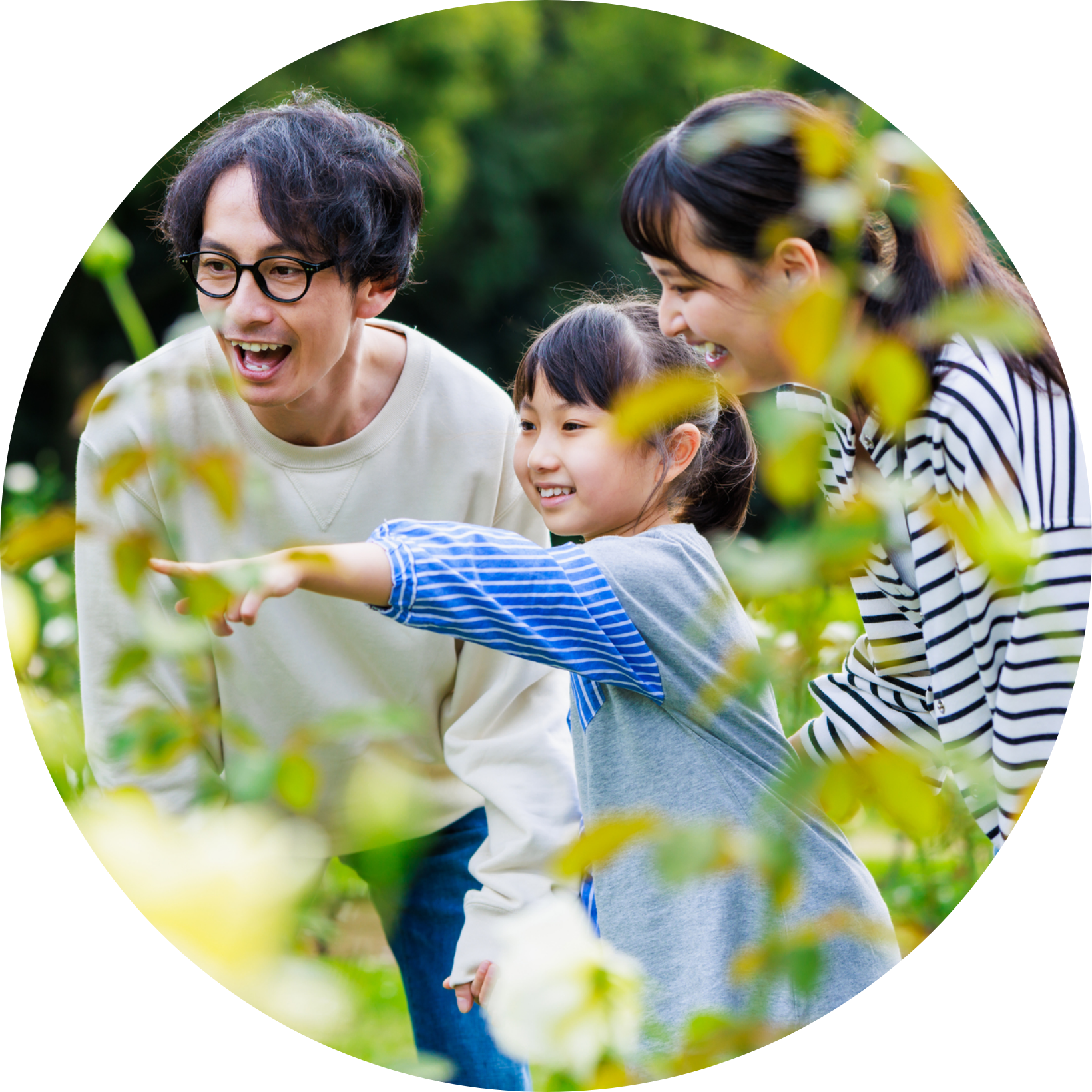 特別養子縁組制度を知る